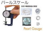 パールスケール.jpg