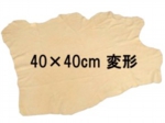 4040.jpg